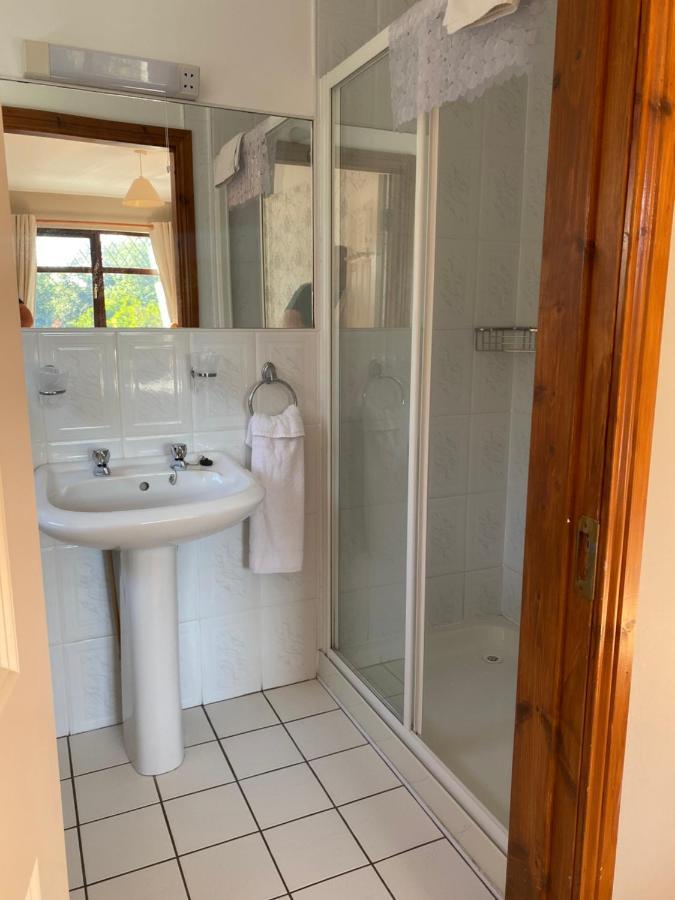 Davmar House Blarney ξενώνας Κορκ Εξωτερικό φωτογραφία